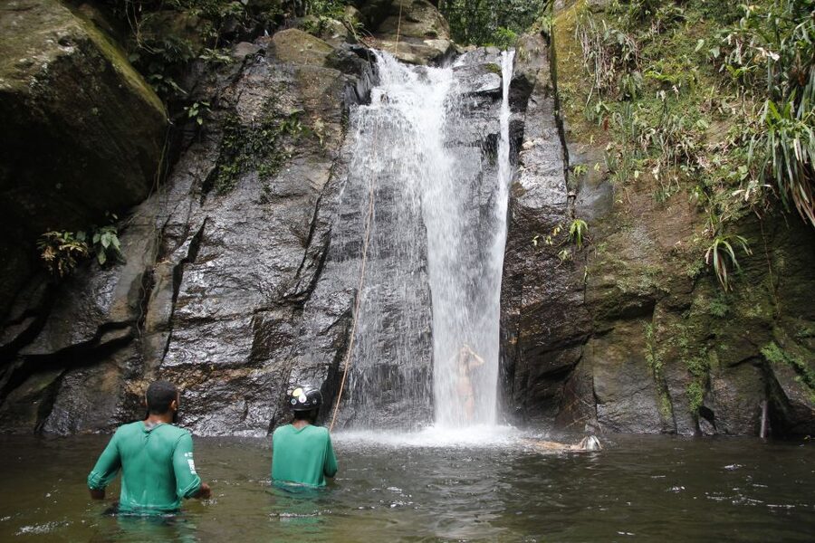 Rio: Tijuca Forest & Horto Waterfalls Circuit Tour - How hard is the four-hour hike?