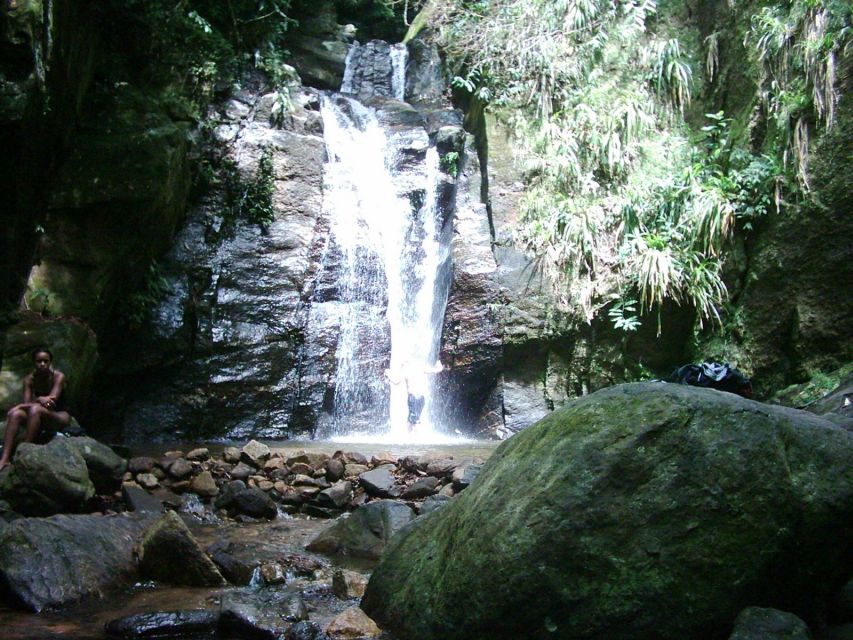 Rio: Tijuca Forest & Horto Waterfalls Circuit Tour - Guide quality and group size