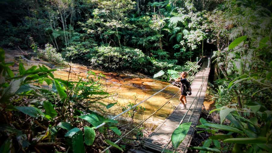 Rio: Tijuca Forest Small Group Hike to Caves and Waterfalls - Key points to know before you book
