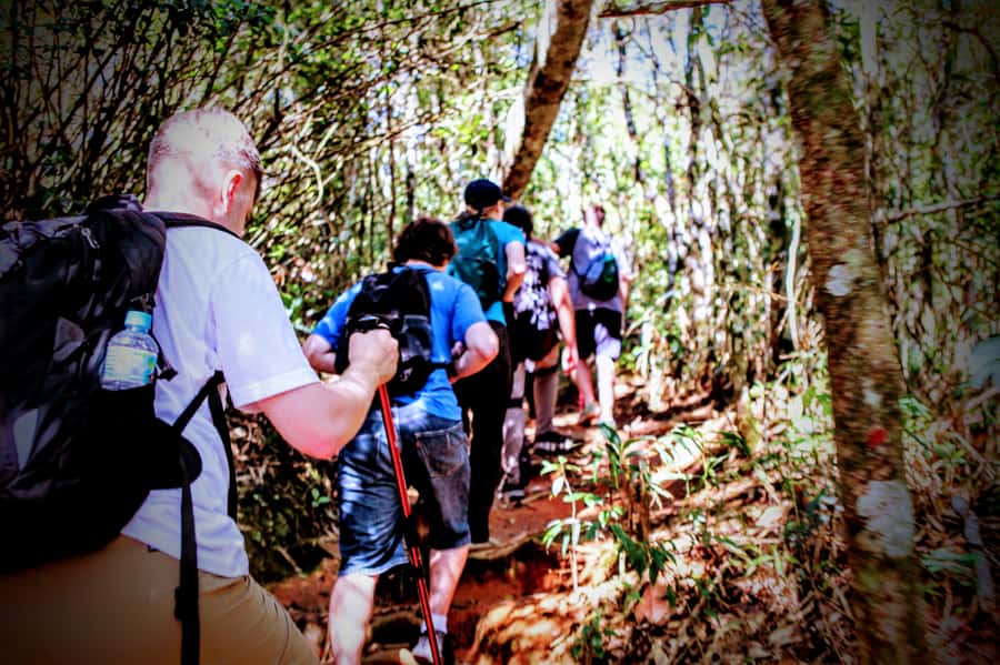 Rio: Tijuca Forest Small Group Hike to Caves and Waterfalls - Ruins, fountains, and the return through the park