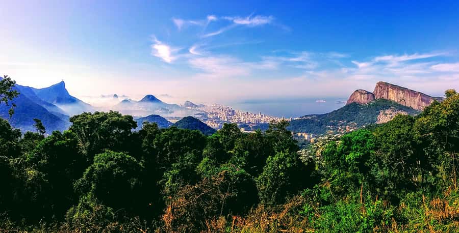 Rio: Tijuca National Park Small-Group Hike to Pedra Bonita - What to pack for a comfortable walk