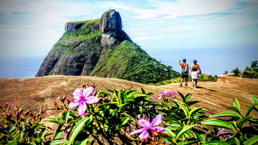 Rio: Tijuca National Park Small-Group Hike to Pedra Bonita - The 50-minute climb through Atlantic Rainforest