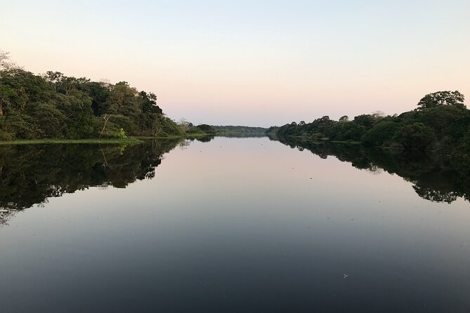 River Day Tour from Manaus - Pink dolphins at Paricatuba