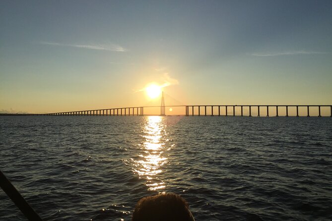 River Day Tour from Manaus - The Meeting of Waters: brown Solimões beside dark Negro