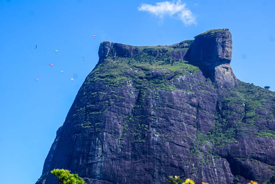 Rocinha Jeep Tour: A Journey into the Soul of the Favela! - Timing, communication, and the four-hour promise
