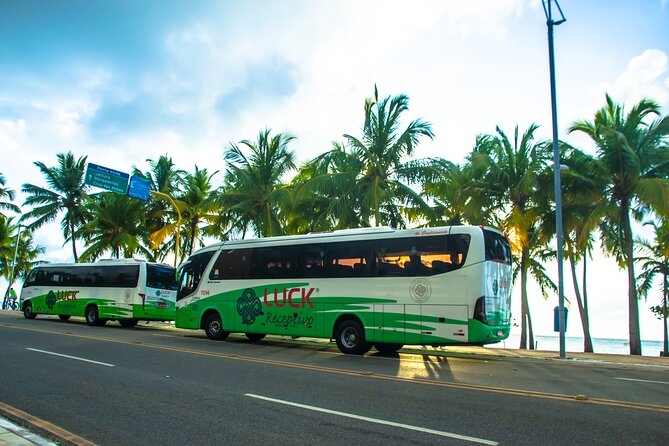 Round trip transfer between Airport and Hotels in Maceió - Arriving at Palmares Airport and finding your pickup