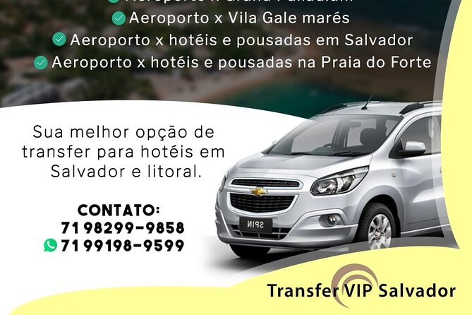 Round trip transfer to Grand Palladium Imbassaí - Key points to know before booking