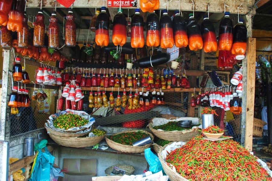 Salvador: Anthropological City Tour with Lunch IN 6 HOURS - Dique do Tororó and Salvador’s public spaces
