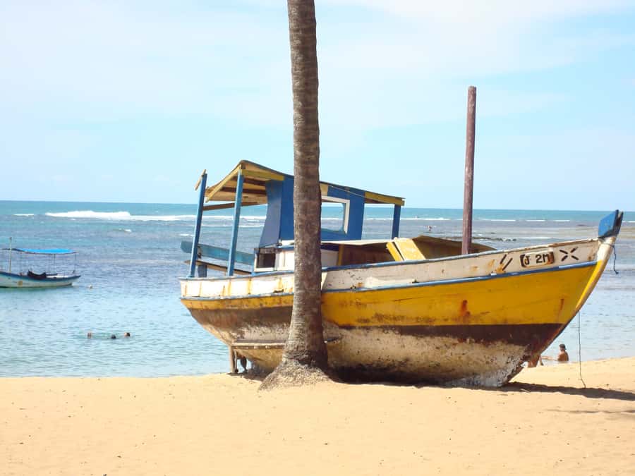 Salvador: Praia Do Forte and Guarajuba Beach Day Trip - What Projeto Tamar adds to the day
