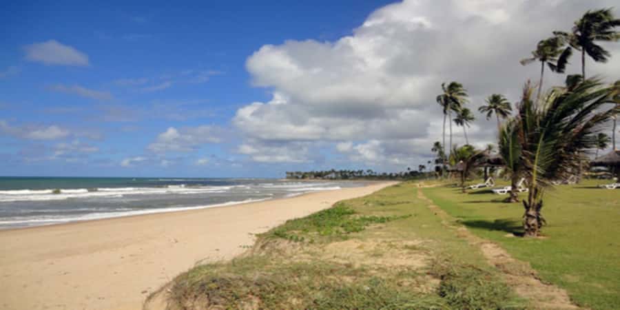 Salvador: Praia Do Forte and Guarajuba Beach Day Trip - Guarajuba Beach for swimming and lunch
