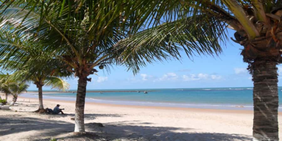 Salvador: Praia Do Forte and Guarajuba Beach Day Trip - Who will get the most from this beach trip