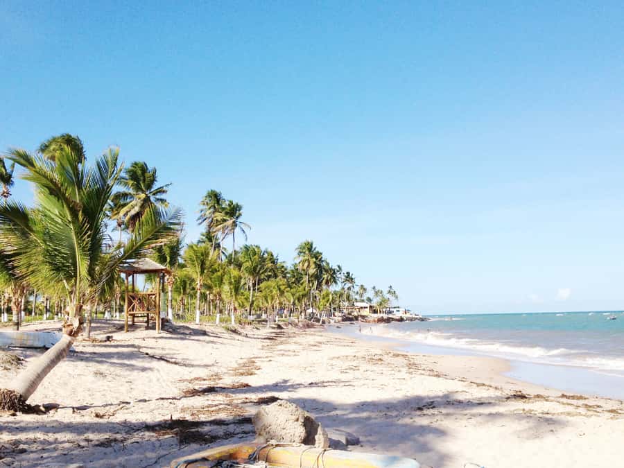 Salvador: Schooner Cruise with Pickup and Itaparica Stop - Key points to know before you book