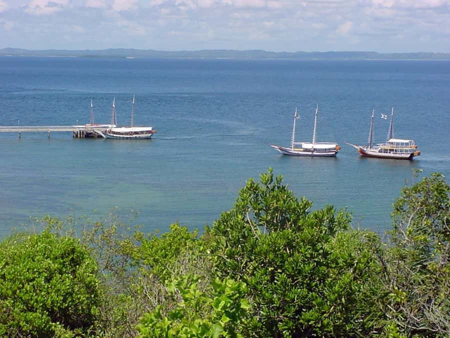 Salvador: Schooner Cruise with Pickup and Itaparica Stop - Why All Saints’ Bay makes this cruise worthwhile
