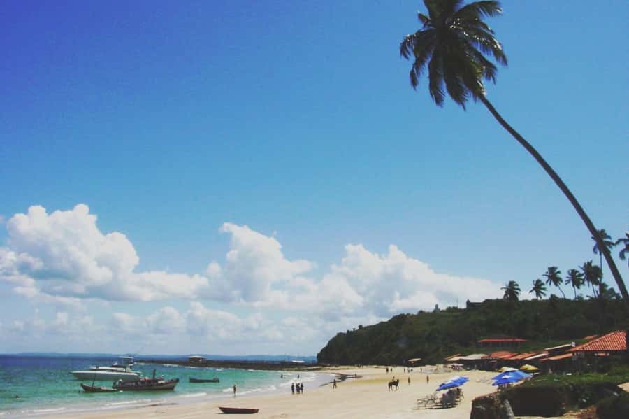Salvador: Schooner Cruise with Pickup and Itaparica Stop - What to pack for eight hours on the bay