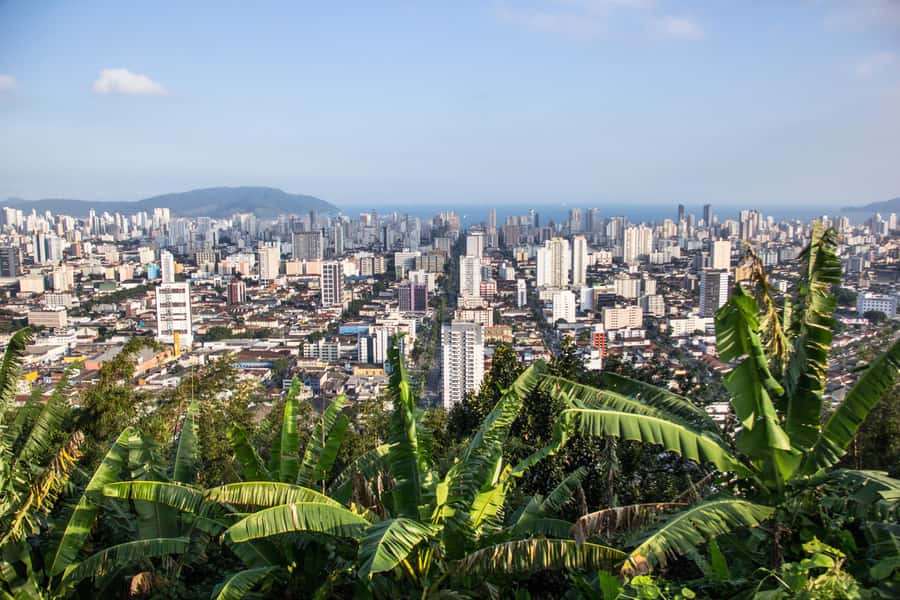 Santos: 7-hour Complete Shared City Tour - Main City Sights - Lunch in central Santos