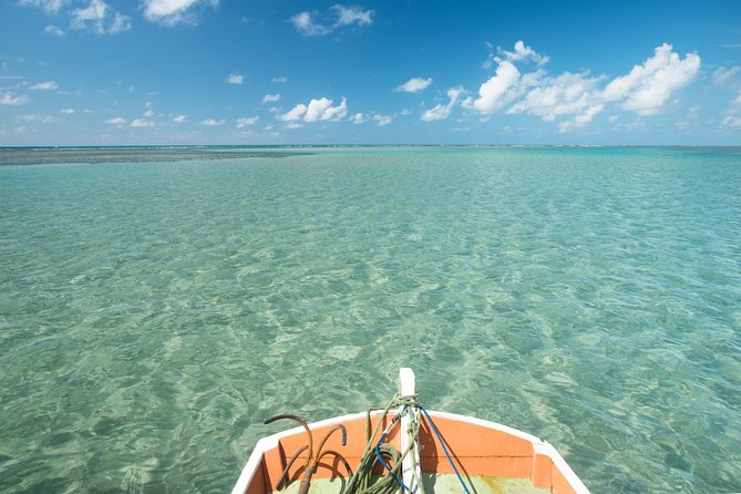 São Miguel dos Milagres Tour from Maragogi with Costazul Turismo - Key Points to Know Before You Go