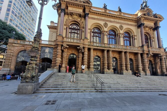 São Paulo 5 Hour Private Tour With Fruit Tasting - What the private vehicle adds
