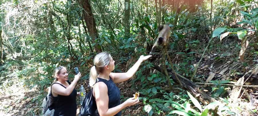 São Paulo: Atlantic Forest Hike in Jaraguá Park with Picnic - Guide quality and the value of a private group