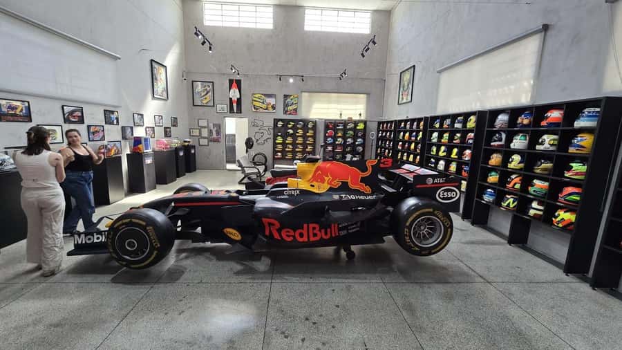 São Paulo: Ayrton Senna Highlights Tour - From the Senna mural to the city center