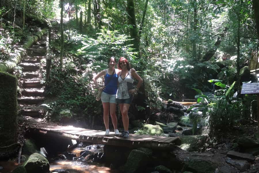 São Paulo: Cantareira Natural Park Guided Rainforest Hike - Key points at a glance