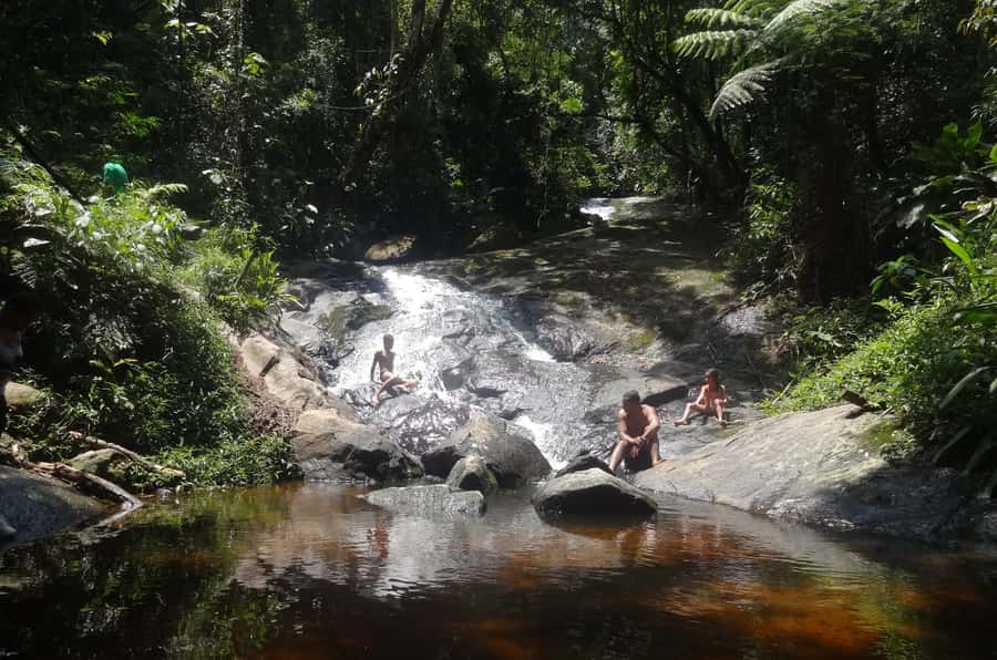 São Paulo: Cantareira Natural Park Guided Rainforest Hike - How the guide shapes the experience