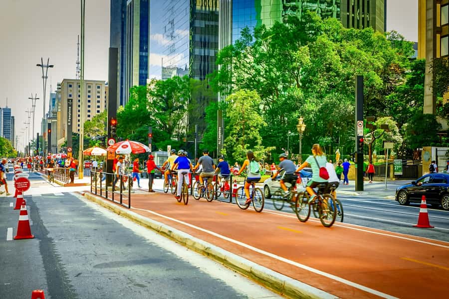 São Paulo City: 5-Hour Private Tour - Pateo do Collegio and the cathedral