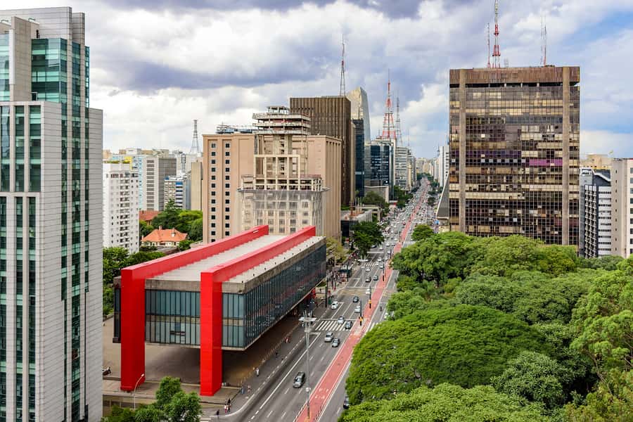 São Paulo City: 5-Hour Private Tour - Ibirapuera Park and the city’s modern side