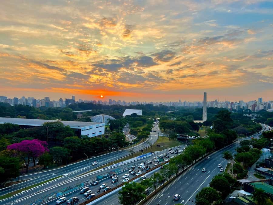 Sao Paulo: City Highlights and LGBTQIA+ Scene Private Tour - LGBTQIA+ history and present-day life