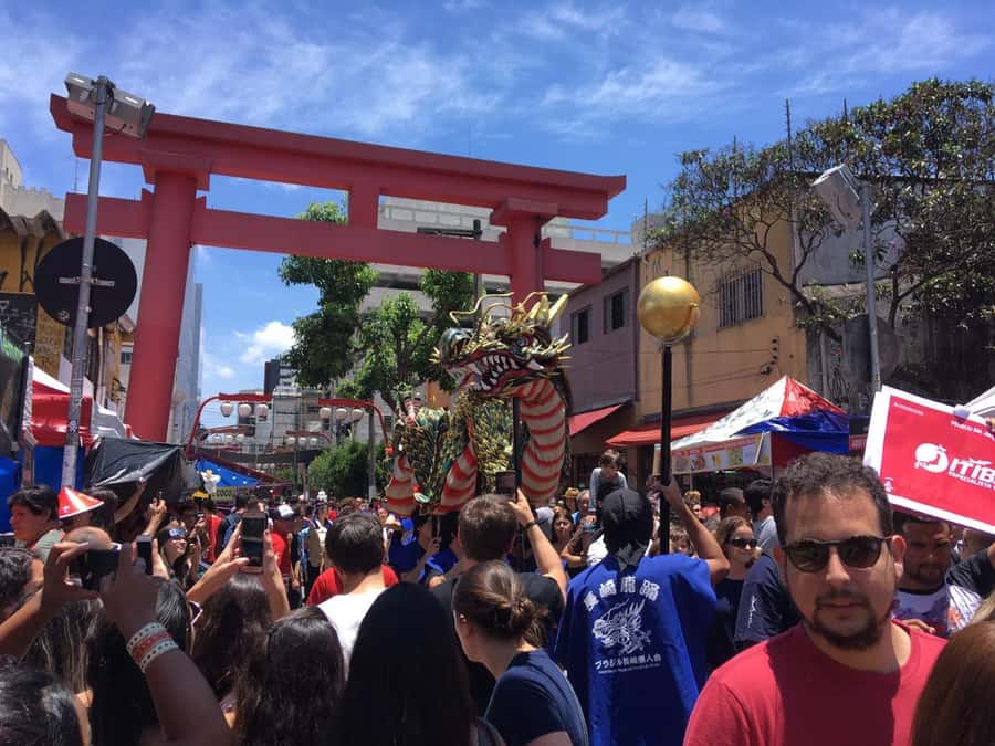São Paulo: City Highlights Guided Tour - Guides, languages, and group rhythm