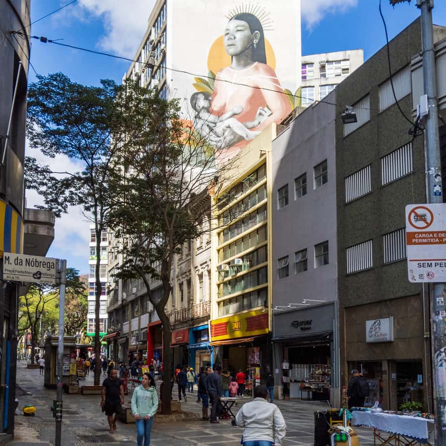 Sao Paulo: Downtown-Center Walking Tour | 2 Hours - English - Municipal Theatre and São Francisco Church