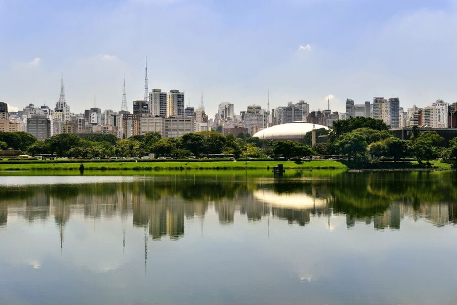 São Paulo: Full-Day Guided City Tour from the Port of Santos - Turning a Santos layover into a São Paulo day