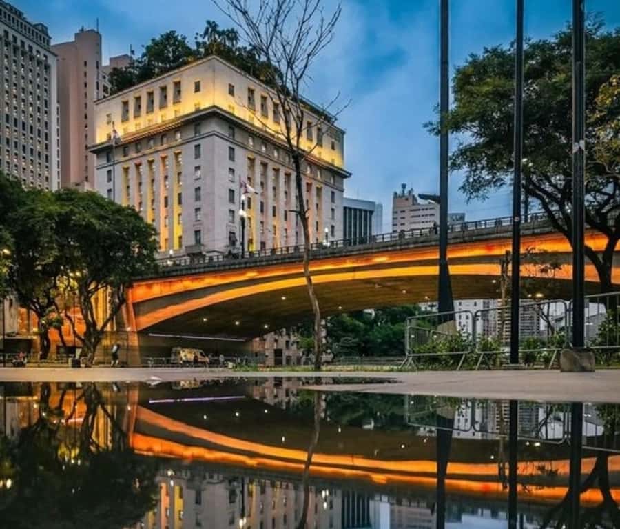 São Paulo : Highlights Walking Tour With A Guide - Martinelli Building and São Paulo’s early skyscraper age