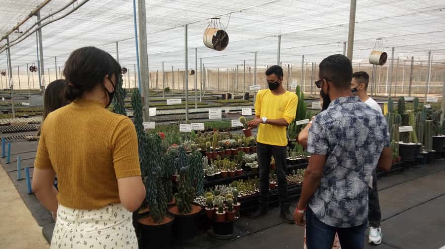 São Paulo: Holambra Colorful Flower Farm Guided Day Trip - Understanding the flower farm visit