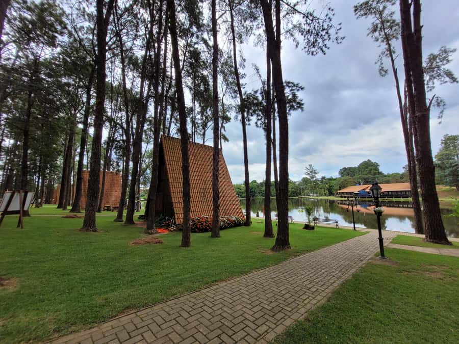 São Paulo: Holambra Colorful Flower Farm Guided Day Trip - Languages, inclusions, and extra costs