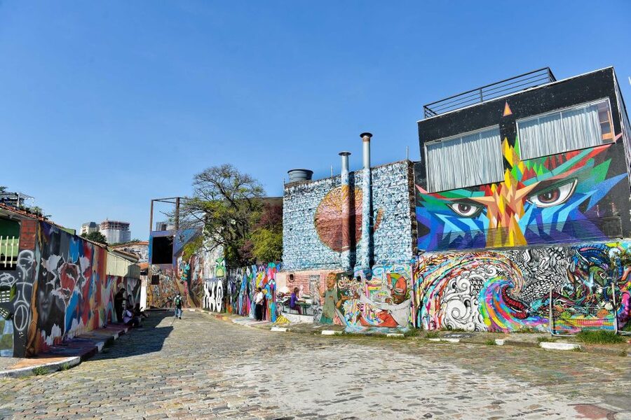São Paulo: Layover Private Tour from GRU Airport - Paulista Avenue and Ibirapuera Park