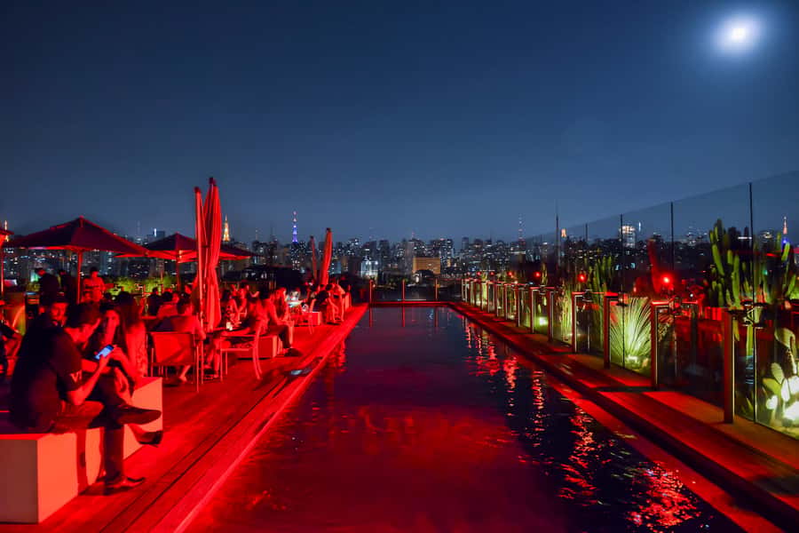 São Paulo: Private 4-Hour Night Tour - Vila Madalena: Street Art, Small Bars, and a Casual Start