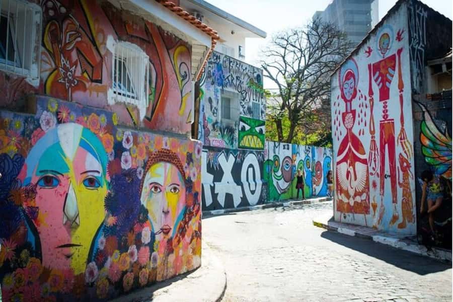 Sao Paulo: Private custom tour with a local guide - Landmarks, museums, and the story behind the streets