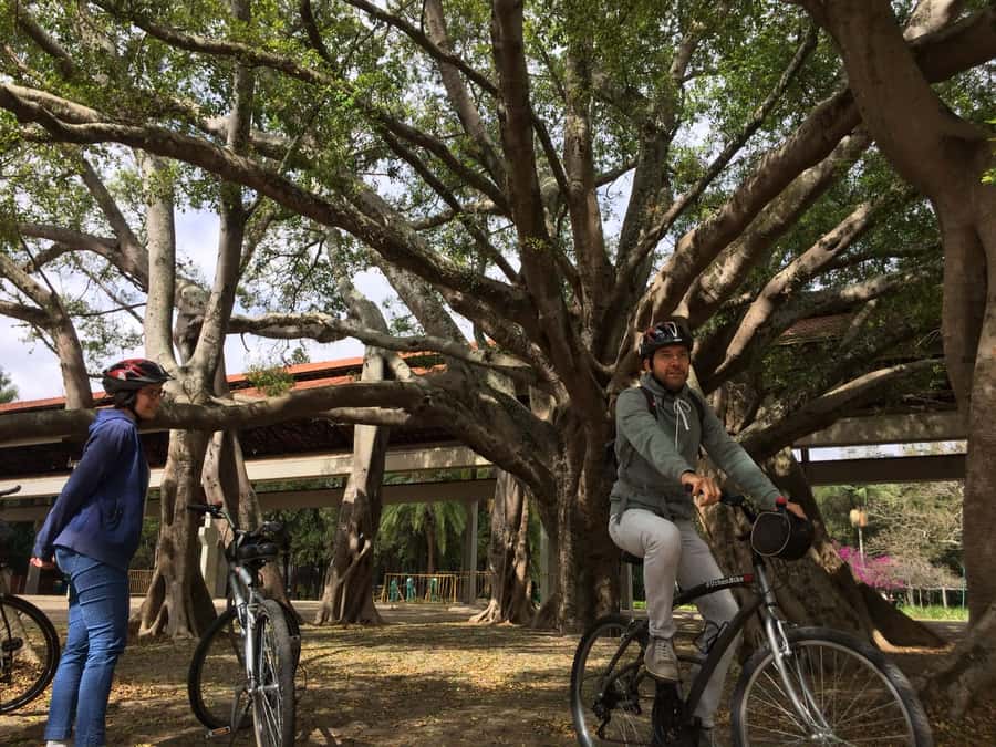 São Paulo: Street Art Bike Tour - Who should book this ride?