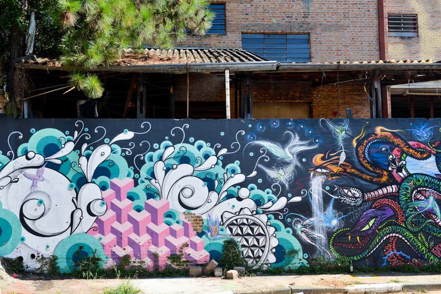 São Paulo Street Art Tour - From public walls to a dedicated street art gallery