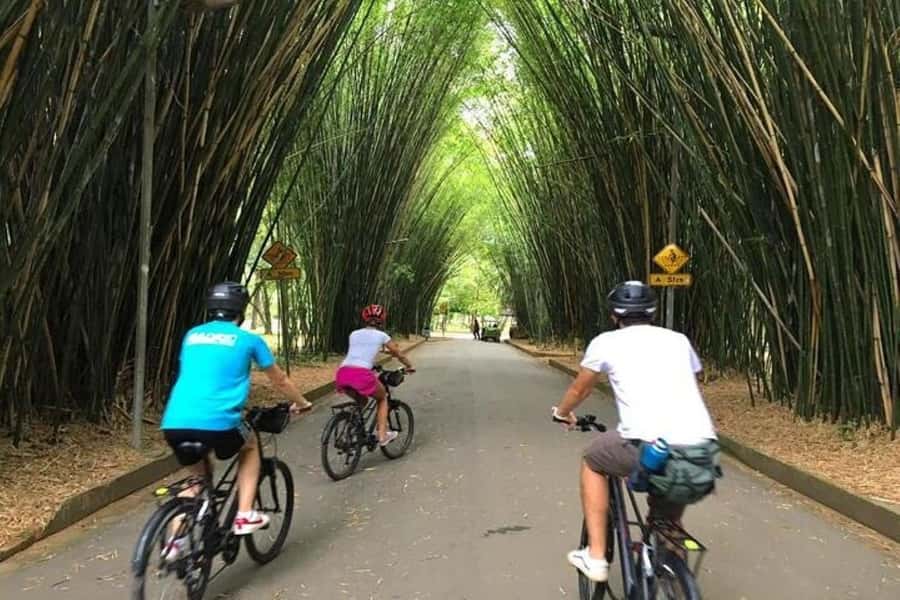 Sao Paulo: The Coolest Urban Scenes Bike Tour - Starting in Vila Mariana at Portinha 183
