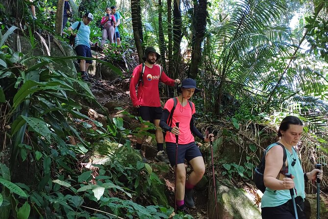 Small Group Hike to Saco Bravo Waterfall - A 6:30 a.m. start from Paraty Bus Station