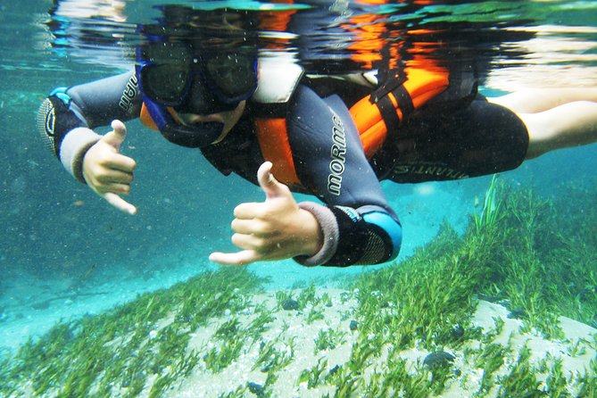 Snorkel in the Sucuri River - Why the Sucuri River is so special