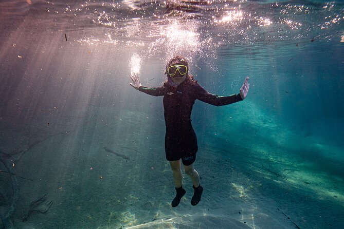 Snorkel in the Sucuri River - The strongest part: clear water and underwater plants