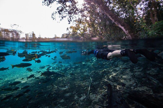 Snorkel in the Sucuri River - From central Bonito to Fazenda São Geraldo