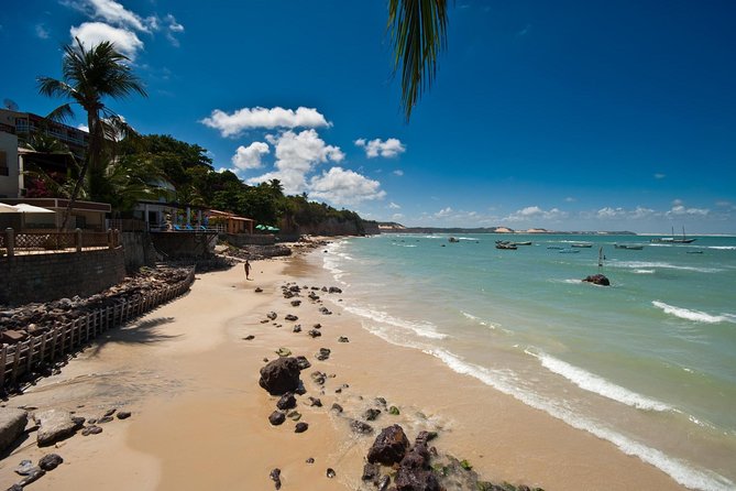 Sun and Fun at Pipa Beach: Day Tour from Natal - Why this day trip works from Natal
