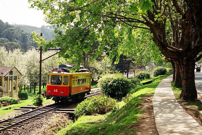 The Brazilian Switzerland - Day Trip on Campos do Jordão from São Paulo - The early road journey from São Paulo
