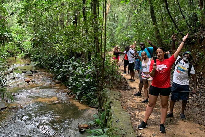 Tijuca Forest Hike - Waterfalls & Caves, Nature & Wild Life! - Why This Tijuca Forest Hike Works So Well