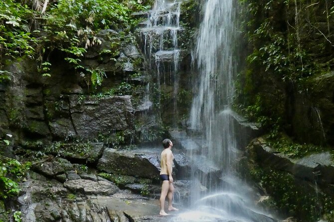 Tijuca Forest Hike - Waterfalls & Caves, Nature & Wild Life! - Cachoeira das Almas: The Best Place to Cool Off