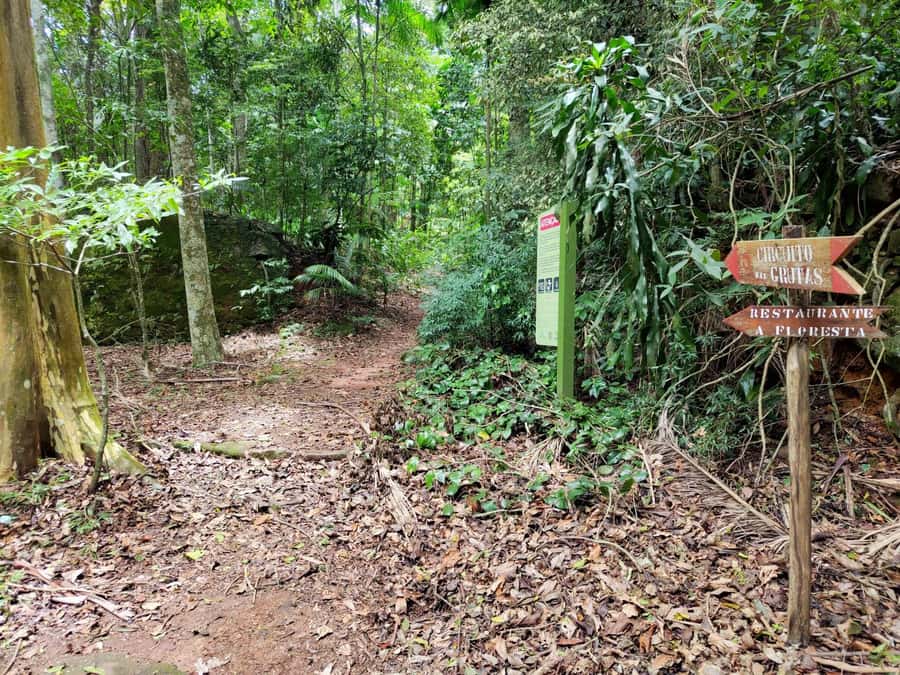 Tijuca Forest´s hike: caves, waterfalls and great views - Who should book this hike