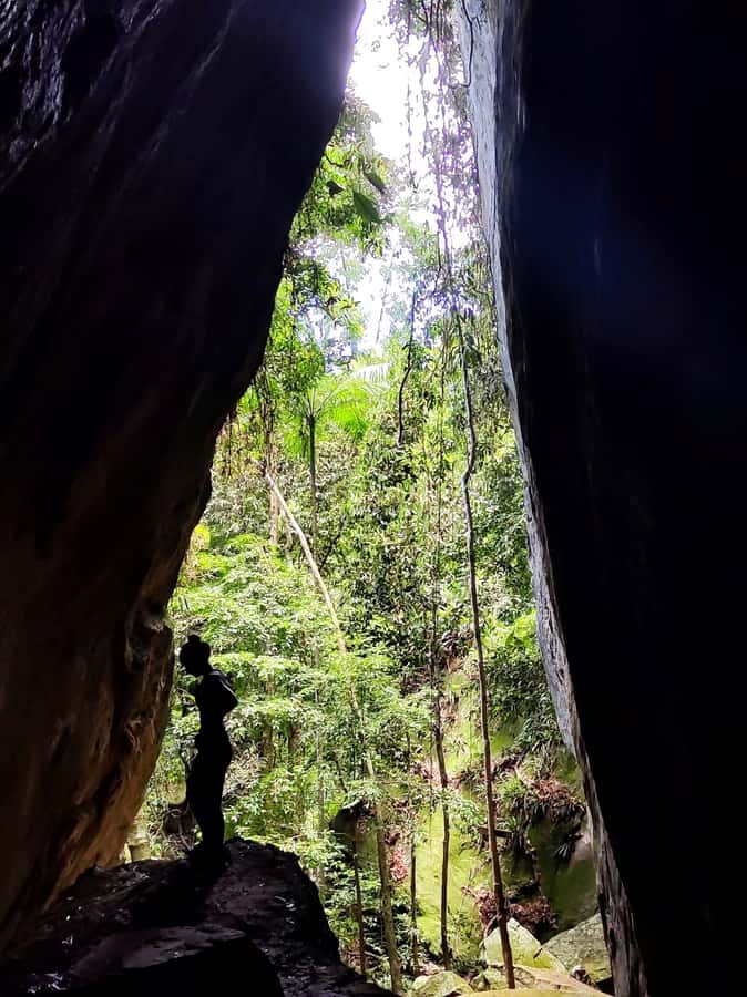 Tijuca Forest´s hike: caves, waterfalls and great views - Uphill trails through forest and history